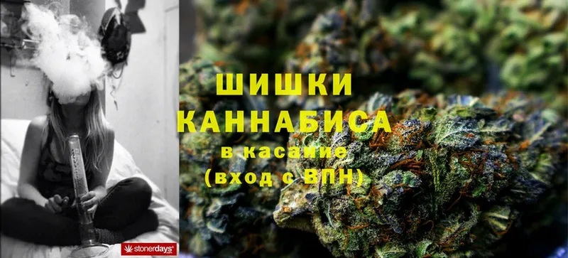 Бошки марихуана OG Kush  kraken зеркало  shop телеграм  наркотики  Боровск 